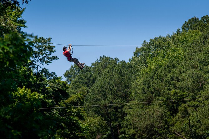A moment from Ziplining and Climbing at The Adventure Park at Virginia Aquarium in Virginia Beach.